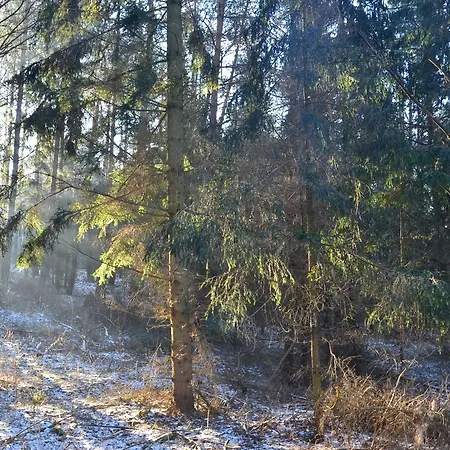 Oaza Mazurska - Z Kominkiem Piecki (Warmian-Masurian)